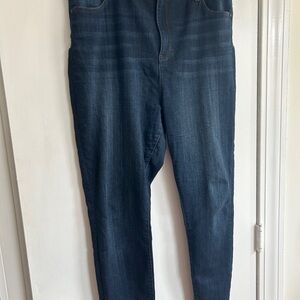 Liverpool Los Angeles Dark Wash Denim Skinny Jeans 33/16